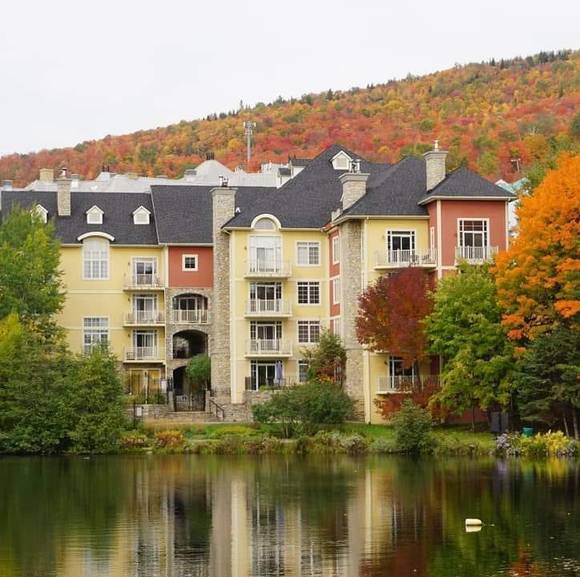 Meet your Posher, Linh - Picture 1 of 1